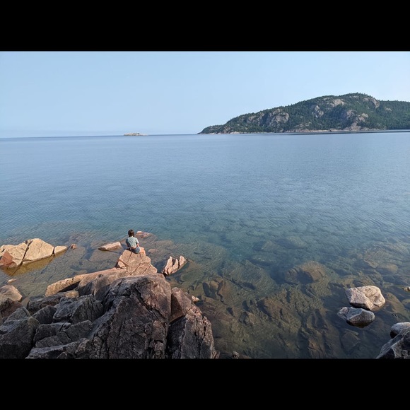 Meet your Posher, Hazel - Picture 1 of 1